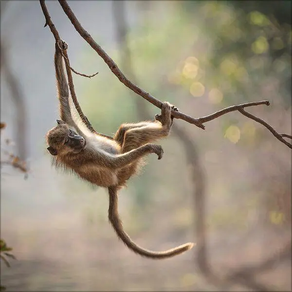 Bild: 9783819303999 | Moments in Nature 2027 | Verlag Korsch | Kalender | 13 S. | Deutsch