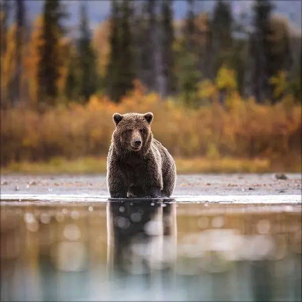 Bild: 9783819303999 | Moments in Nature 2027 | Verlag Korsch | Kalender | 13 S. | Deutsch