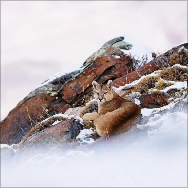 Bild: 9783819303999 | Moments in Nature 2027 | Verlag Korsch | Kalender | 13 S. | Deutsch