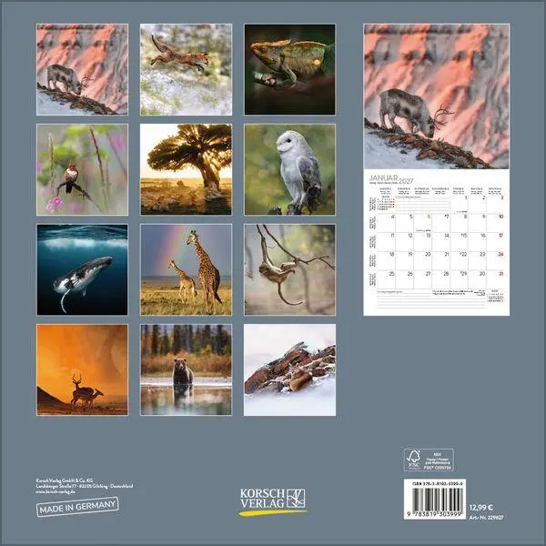 Bild: 9783819303999 | Moments in Nature 2027 | Verlag Korsch | Kalender | 13 S. | Deutsch