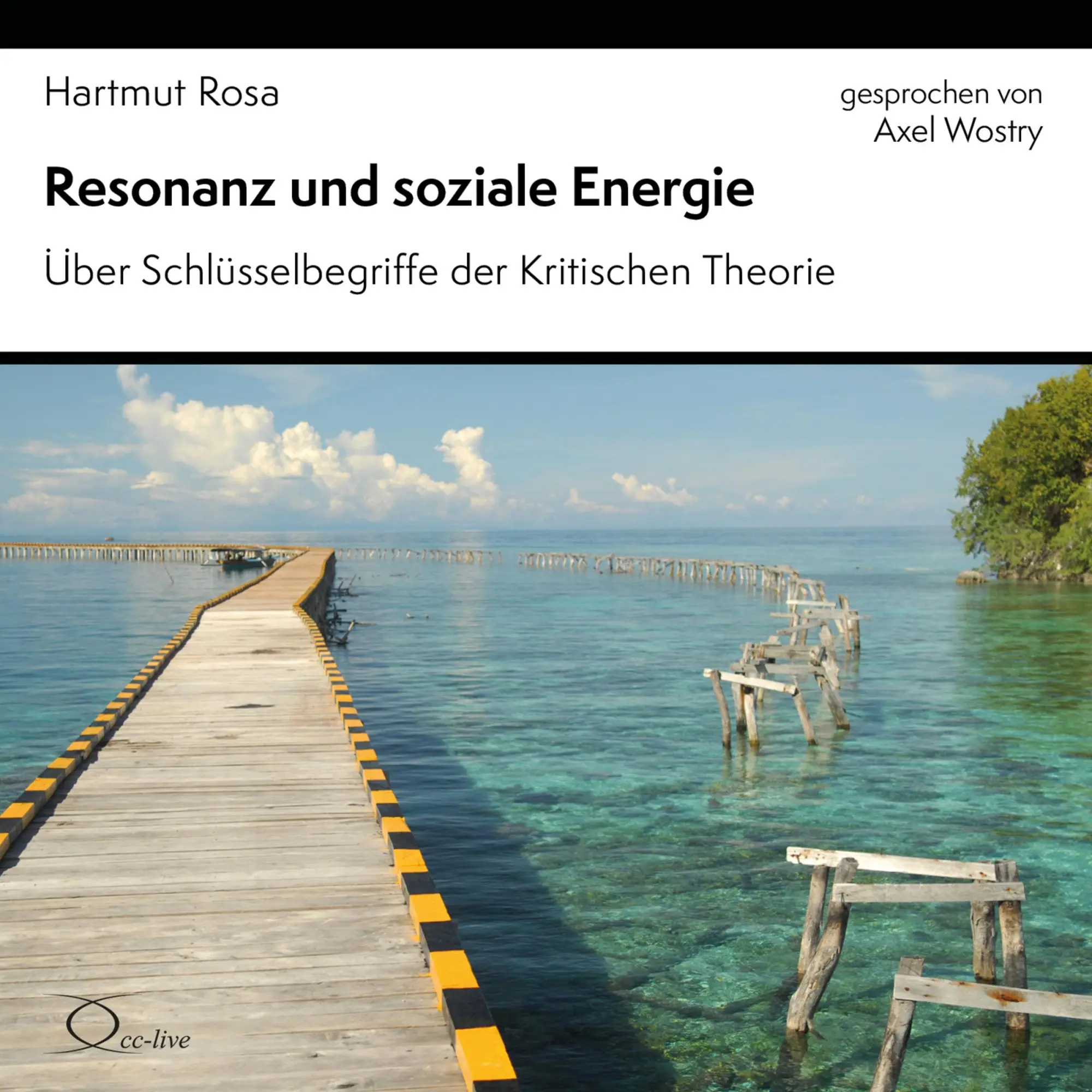 Cover: 9783956163999 | Resonanz und soziale Energie | Hartmut Rosa | Audio-CD | 4 Audio-CDs
