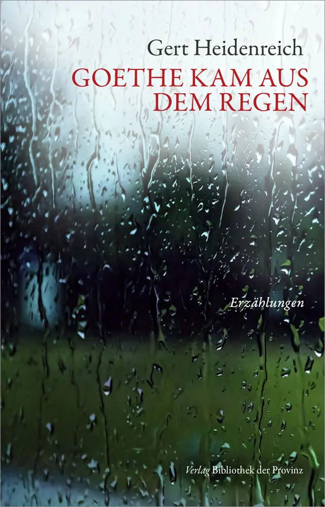 Cover: 9783991263999 | Goethe kam aus dem Regen | Erzählungen | Gert Heidenreich | Buch