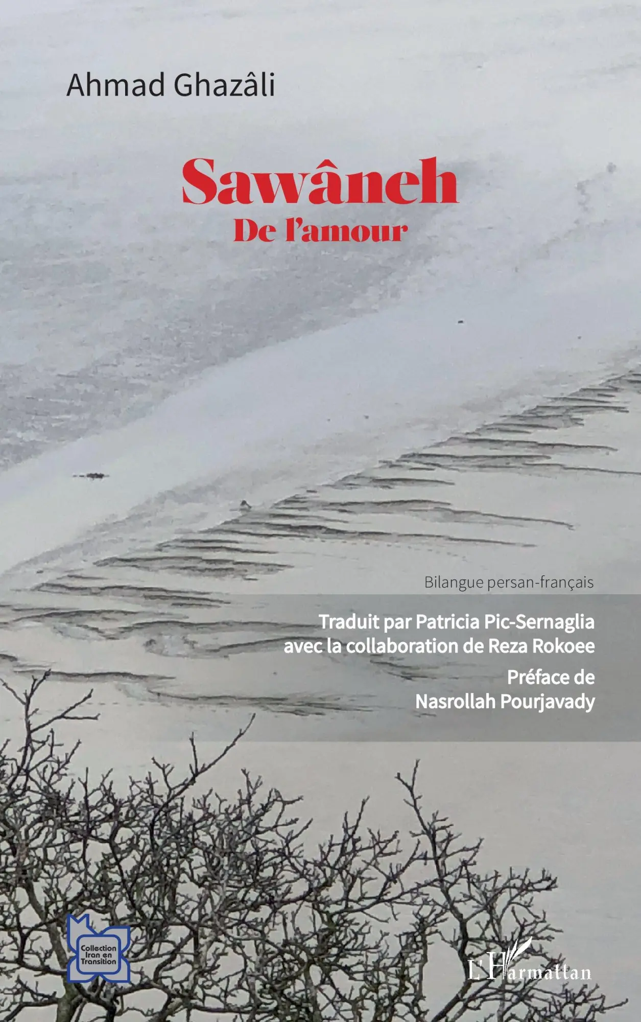 Cover: 9782343244099 | Sawâneh | Patricia Pic-Sernaglia | Taschenbuch | Französisch | 2025