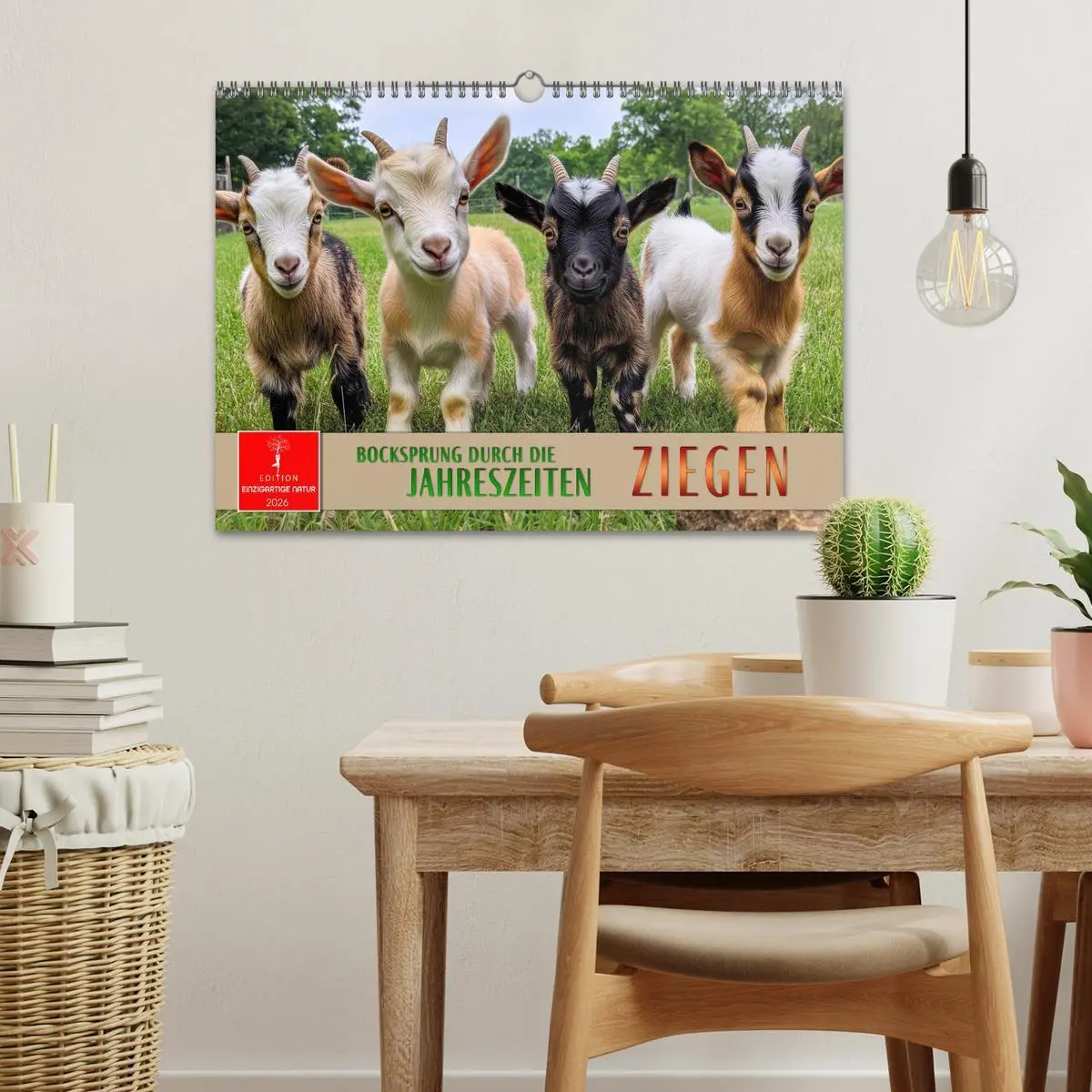 Bild: 9783457304099 | Ziegen - Bocksprung durch das Jahr (Wandkalender 2026 DIN A3 quer),...