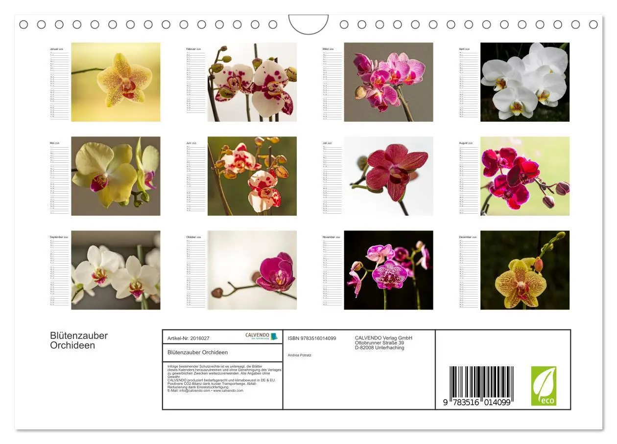 Bild: 9783516014099 | Blütenzauber Orchideen (Wandkalender 2026 DIN A4 quer), CALVENDO...