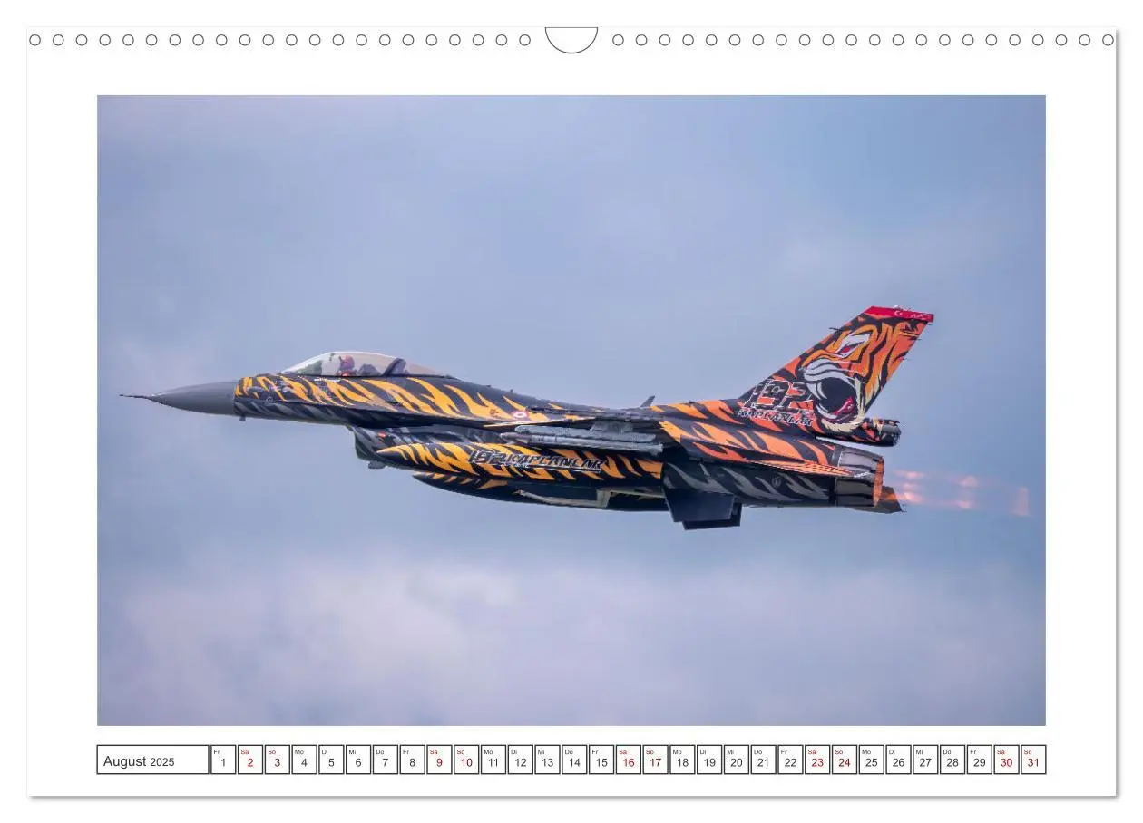 Bild: 9783457154199 | Tiger Meet Schleswig (Wandkalender 2025 DIN A3 quer), CALVENDO...