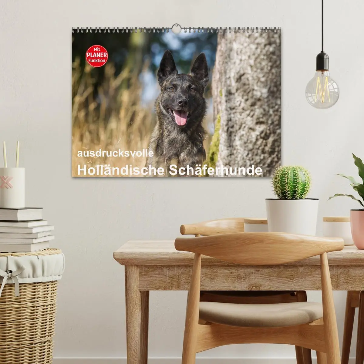 Bild: 9783516004199 | ausdrucksvolle Holländische Schäferhunde (Wandkalender 2026 DIN A3...