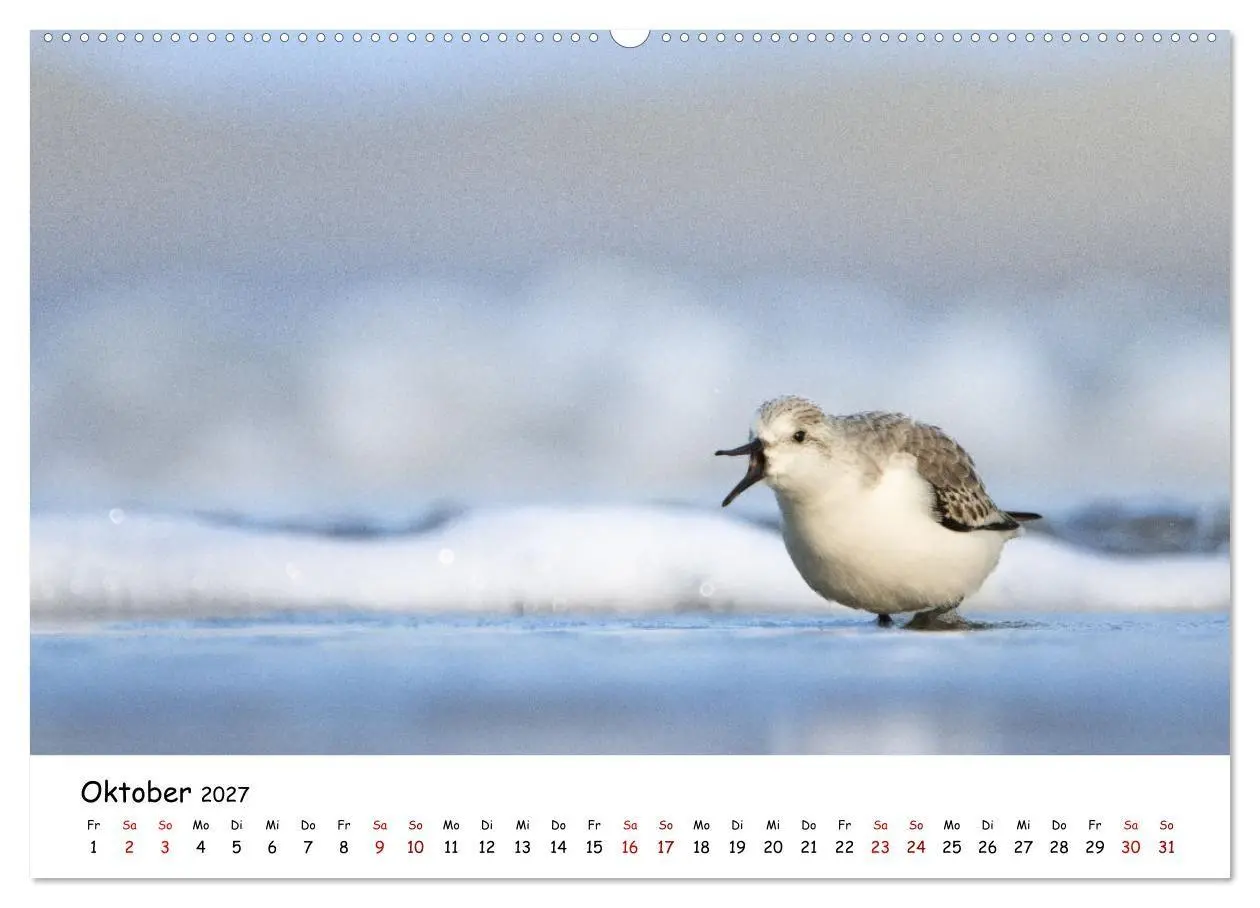 Bild: 9783569334199 | Deutschlands Vogelwelt (Wandkalender 2027 DIN A2 quer), CALVENDO...