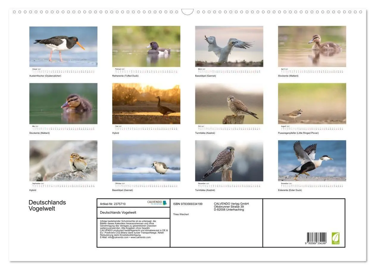 Bild: 9783569334199 | Deutschlands Vogelwelt (Wandkalender 2027 DIN A2 quer), CALVENDO...