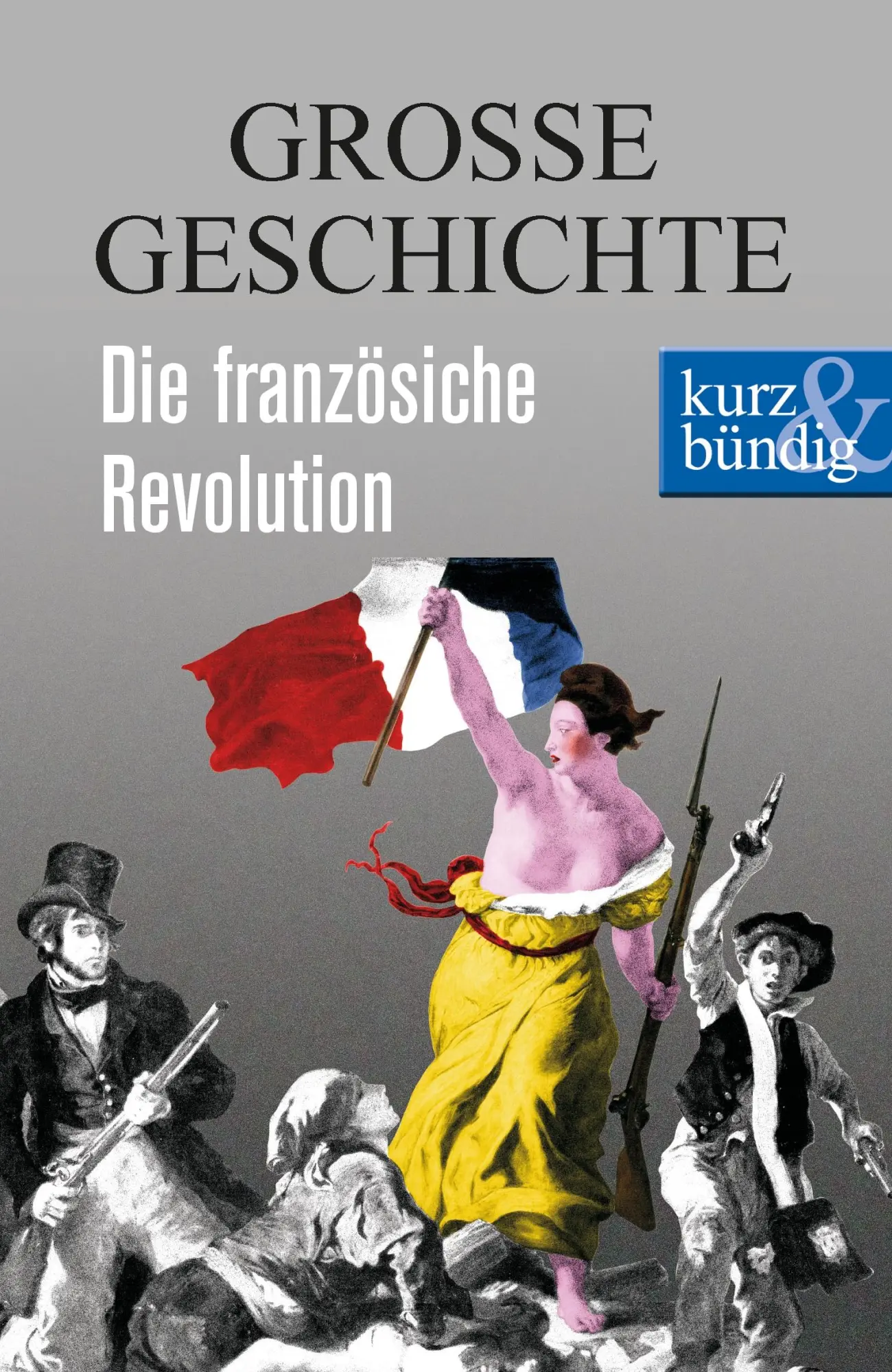Cover: 9783831204199 | Die französische Revolution | Ulrich Offenberg | Taschenbuch | 88 S.