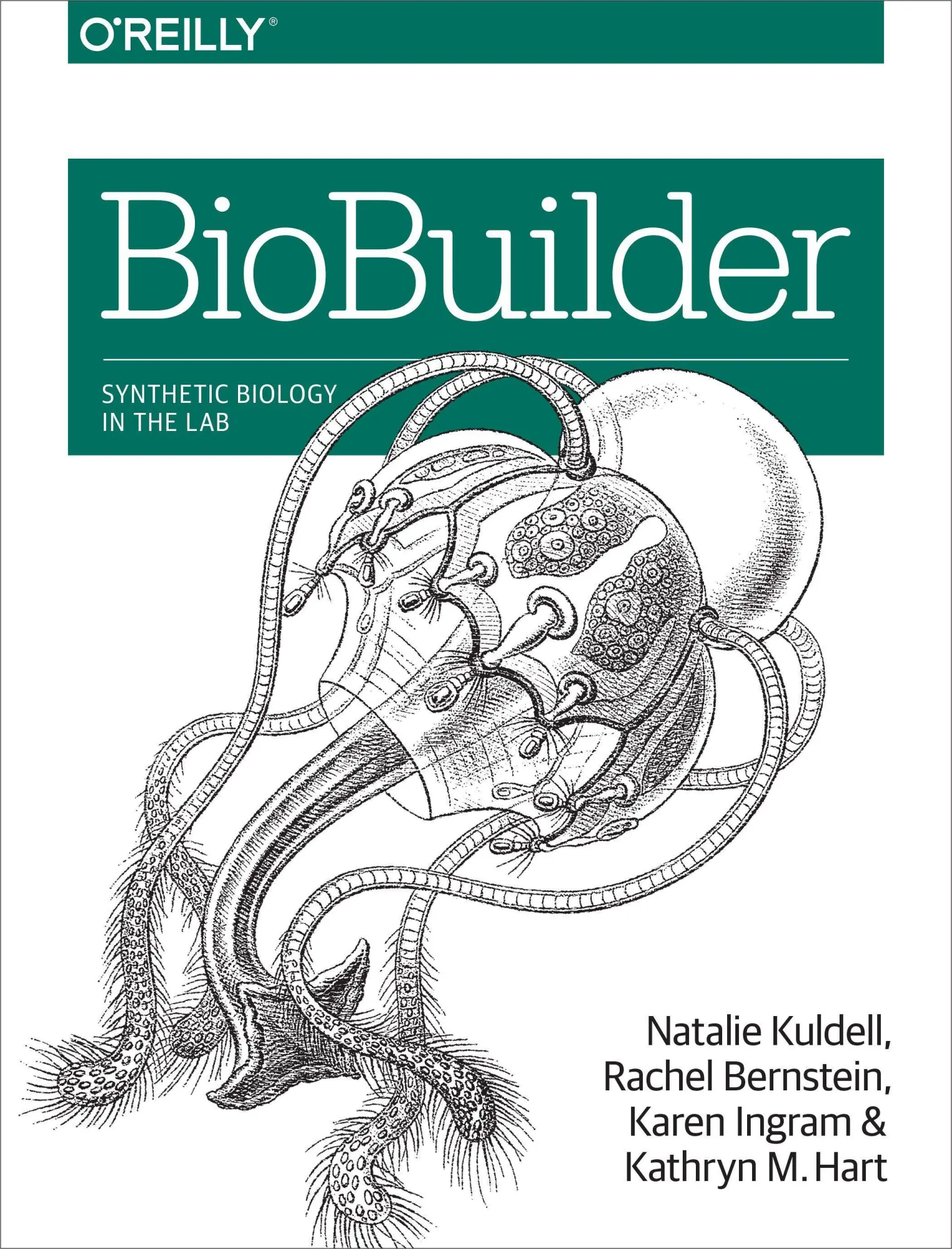 Cover: 9781491904299 | Biobuilder | Synthetic Biology in the Lab | Natalie Kuldell (u. a.)