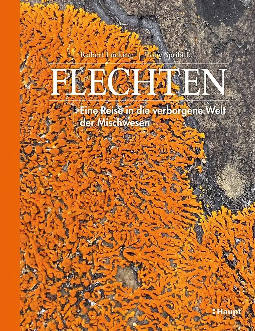 Cover: 9783258084299 | Flechten | Eine Reise in die verborgene Welt der Mischwesen | Buch