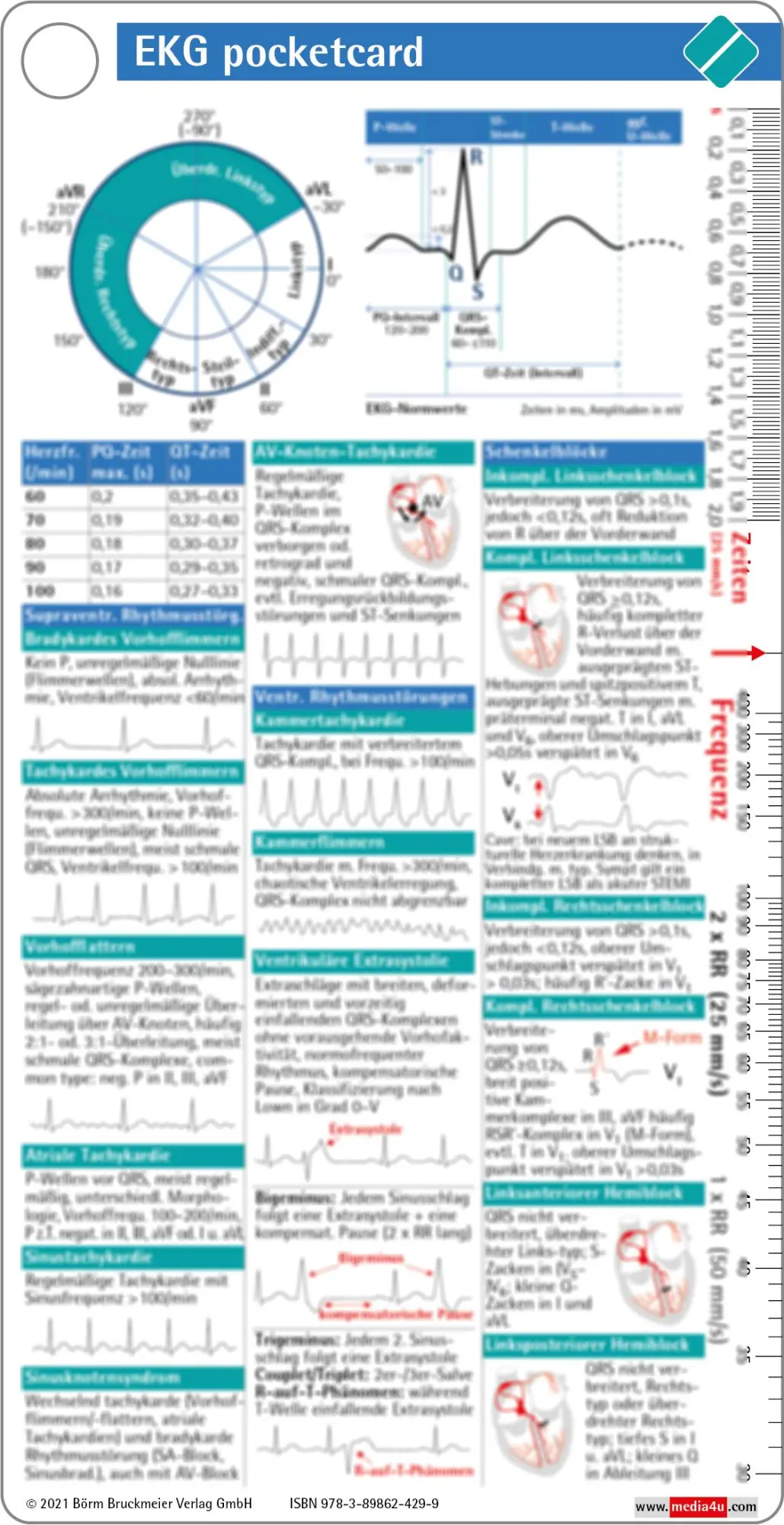 Cover: 9783898624299 | EKG pocketcard | Börm Bruckmeier Verlag GmbH | Taschenbuch | 2 S.