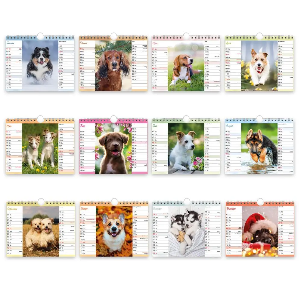 Bild: 9783988024299 | Trötsch Notizkalender Querformat Notizkalender Hunde 2026 mit 12...