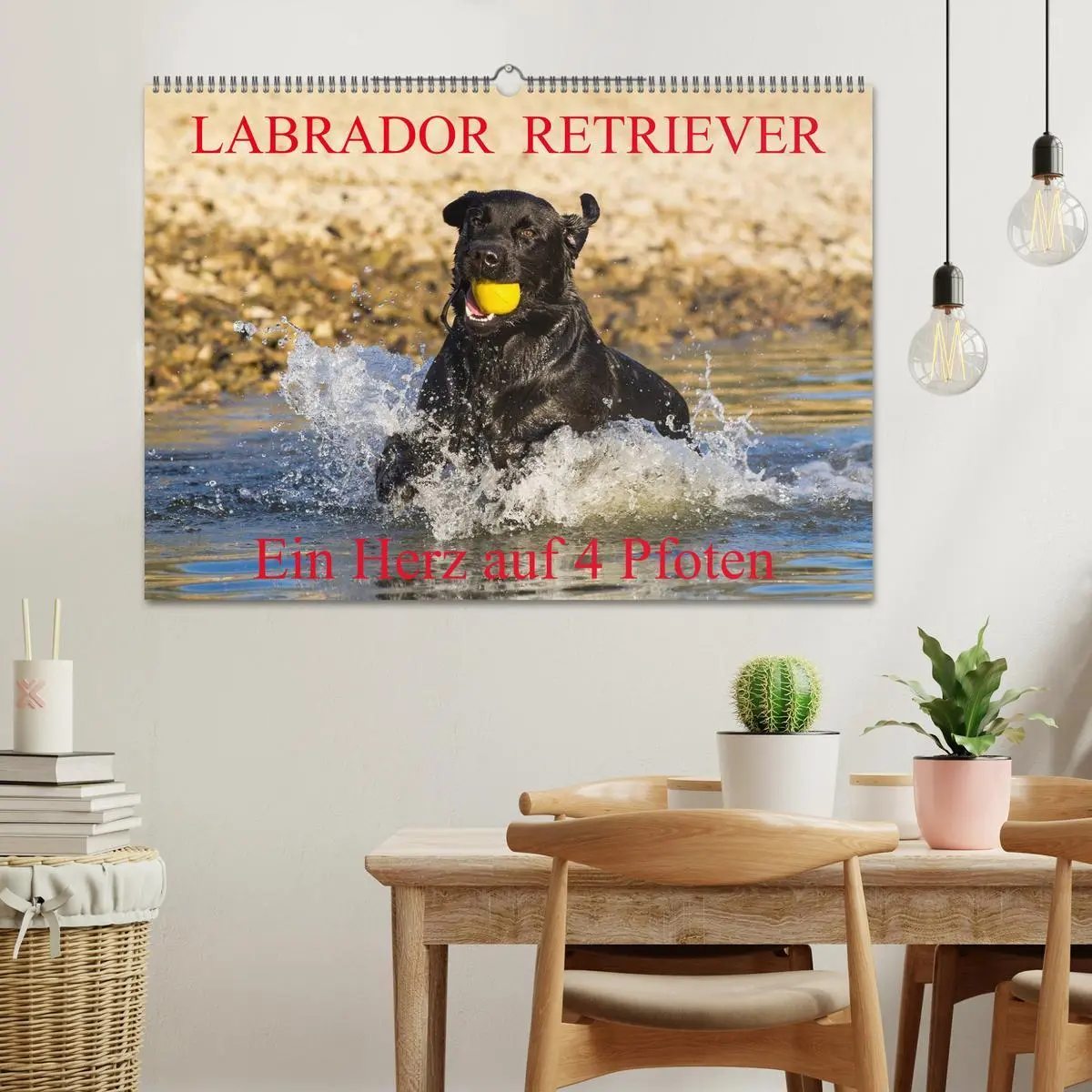 Bild: 9783516084399 | Labrador Retriever - ein Herz auf 4 Pfoten (Wandkalender 2026 DIN...
