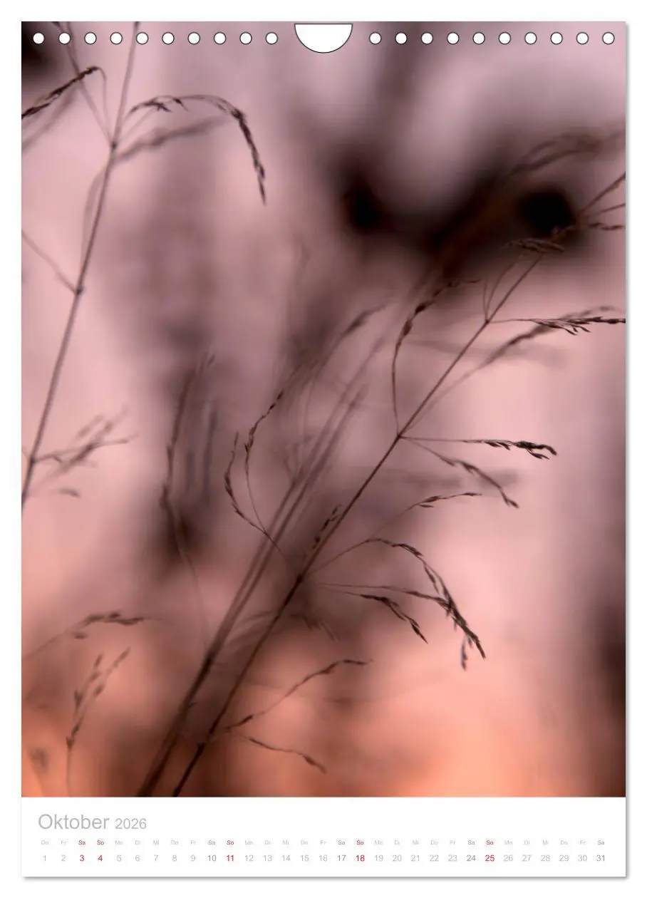 Bild: 9783516454499 | Zarte Gräser (Wandkalender 2026 DIN A4 hoch), CALVENDO Monatskalender