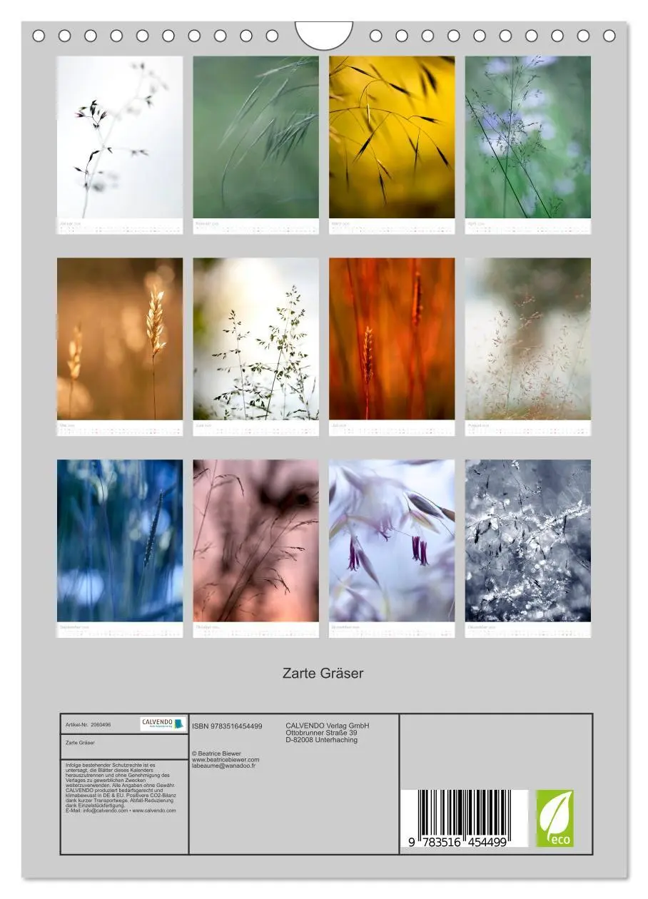 Bild: 9783516454499 | Zarte Gräser (Wandkalender 2026 DIN A4 hoch), CALVENDO Monatskalender