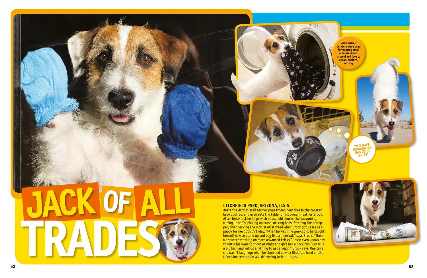 Bild: 9781426314599 | 125 True Stories of Amazing Pets | National Geographic Kids | Buch