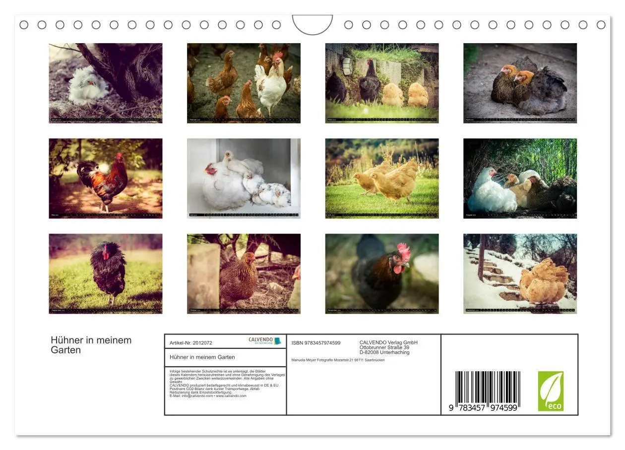 Bild: 9783457974599 | Hühner in meinem Garten (Wandkalender 2026 DIN A4 quer), CALVENDO...