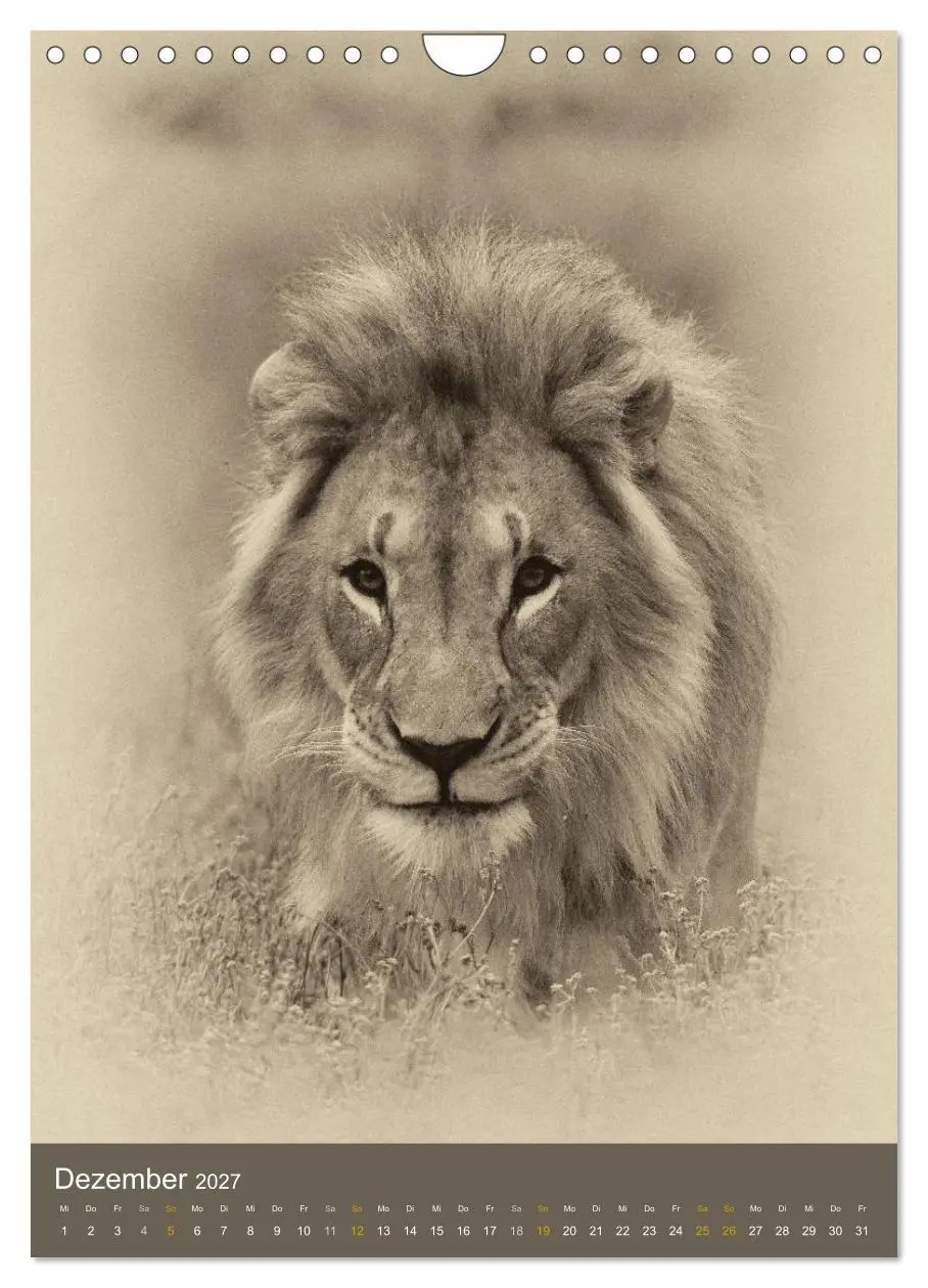 Bild: 9783569914599 | Afrikas Tierwelt - Sepia-Art (Wandkalender 2027 DIN A4 hoch),...