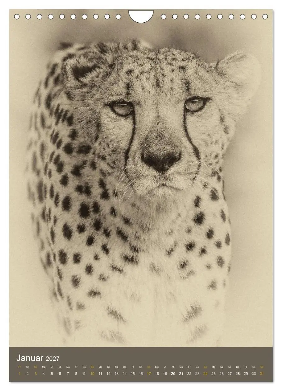 Bild: 9783569914599 | Afrikas Tierwelt - Sepia-Art (Wandkalender 2027 DIN A4 hoch),...