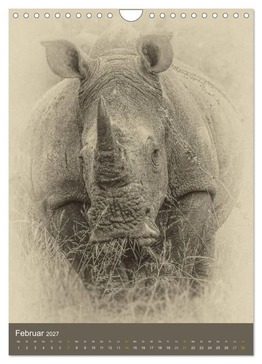 Bild: 9783569914599 | Afrikas Tierwelt - Sepia-Art (Wandkalender 2027 DIN A4 hoch),...