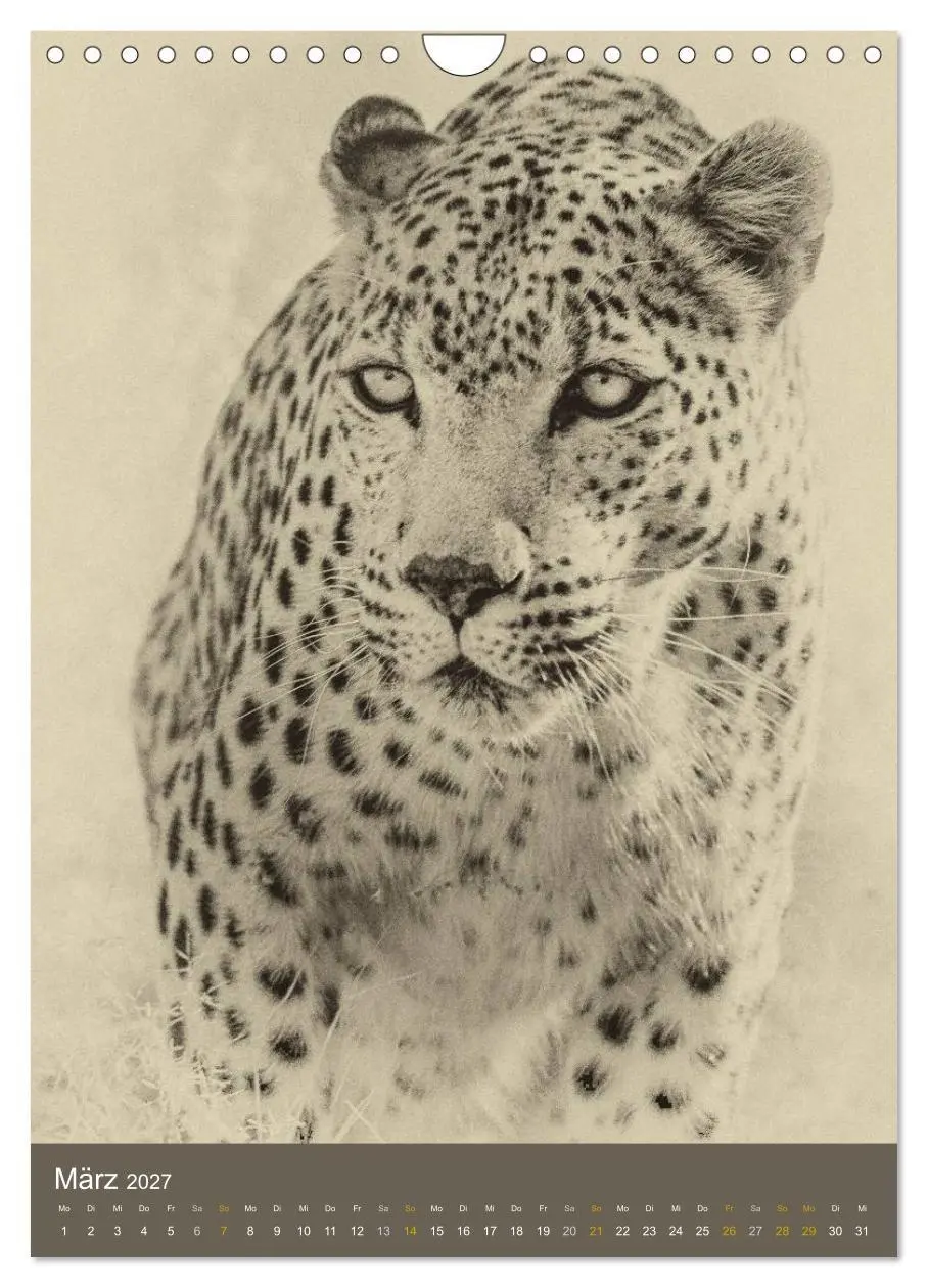 Bild: 9783569914599 | Afrikas Tierwelt - Sepia-Art (Wandkalender 2027 DIN A4 hoch),...