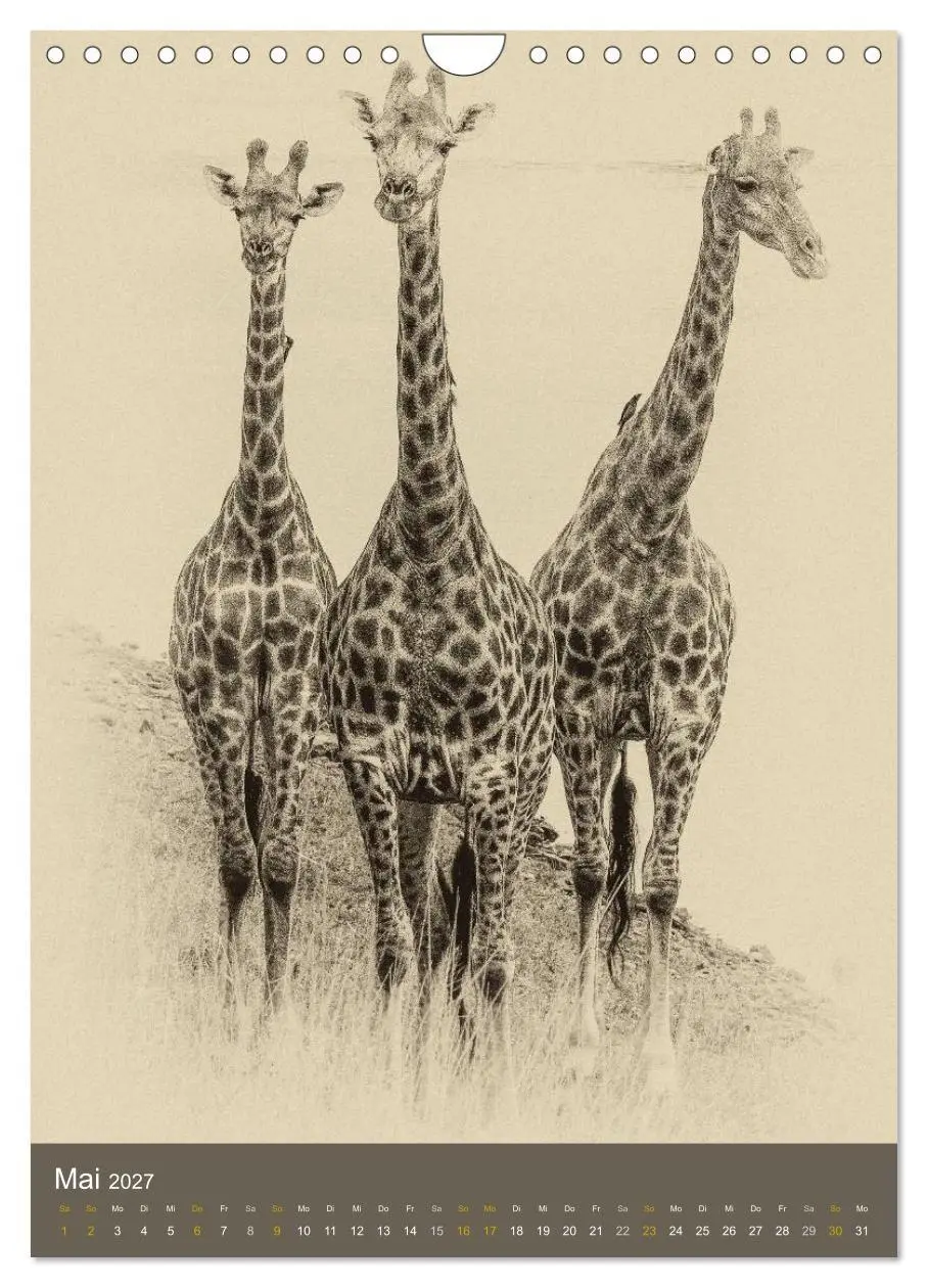 Bild: 9783569914599 | Afrikas Tierwelt - Sepia-Art (Wandkalender 2027 DIN A4 hoch),...