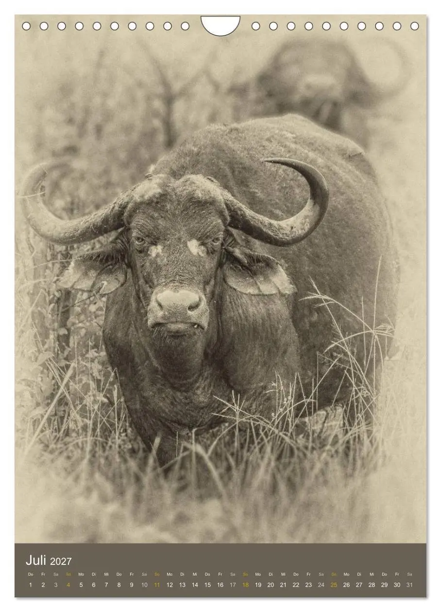 Bild: 9783569914599 | Afrikas Tierwelt - Sepia-Art (Wandkalender 2027 DIN A4 hoch),...