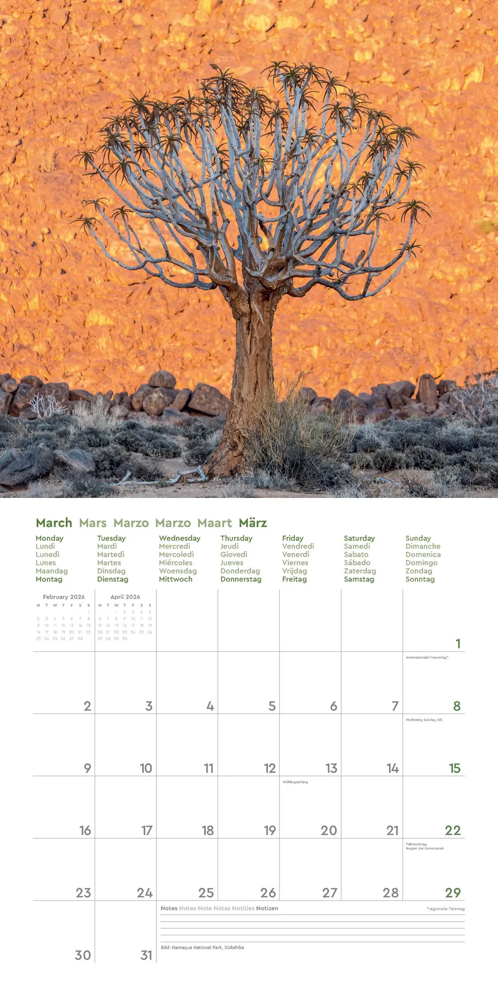 Bild: 9783965914599 | Alte Bäume - KUNTH Broschurkalender 2026 | Kalender | 28 S. | Deutsch