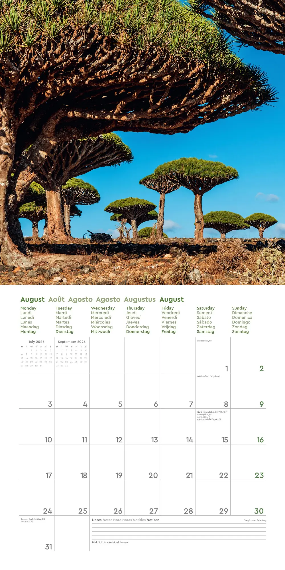 Bild: 9783965914599 | Alte Bäume - KUNTH Broschurkalender 2026 | Kalender | 28 S. | Deutsch