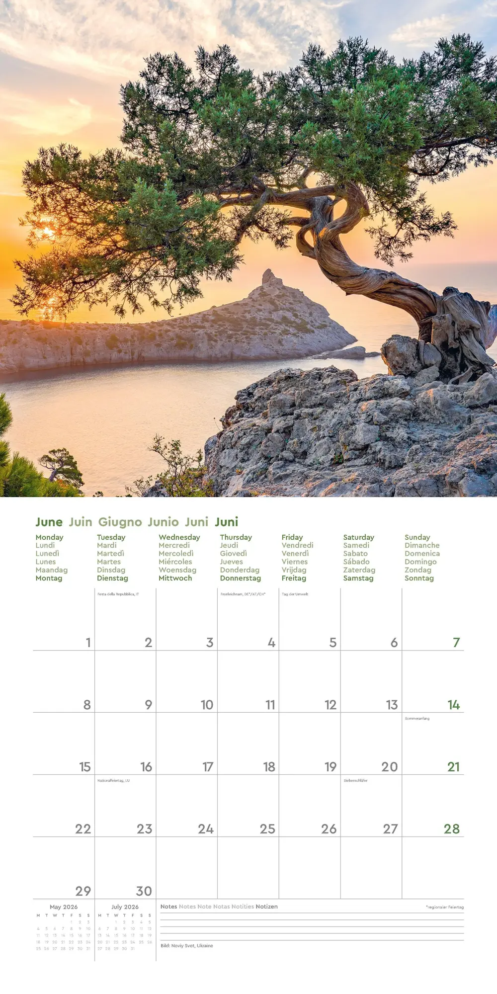 Bild: 9783965914599 | Alte Bäume - KUNTH Broschurkalender 2026 | Kalender | 28 S. | Deutsch