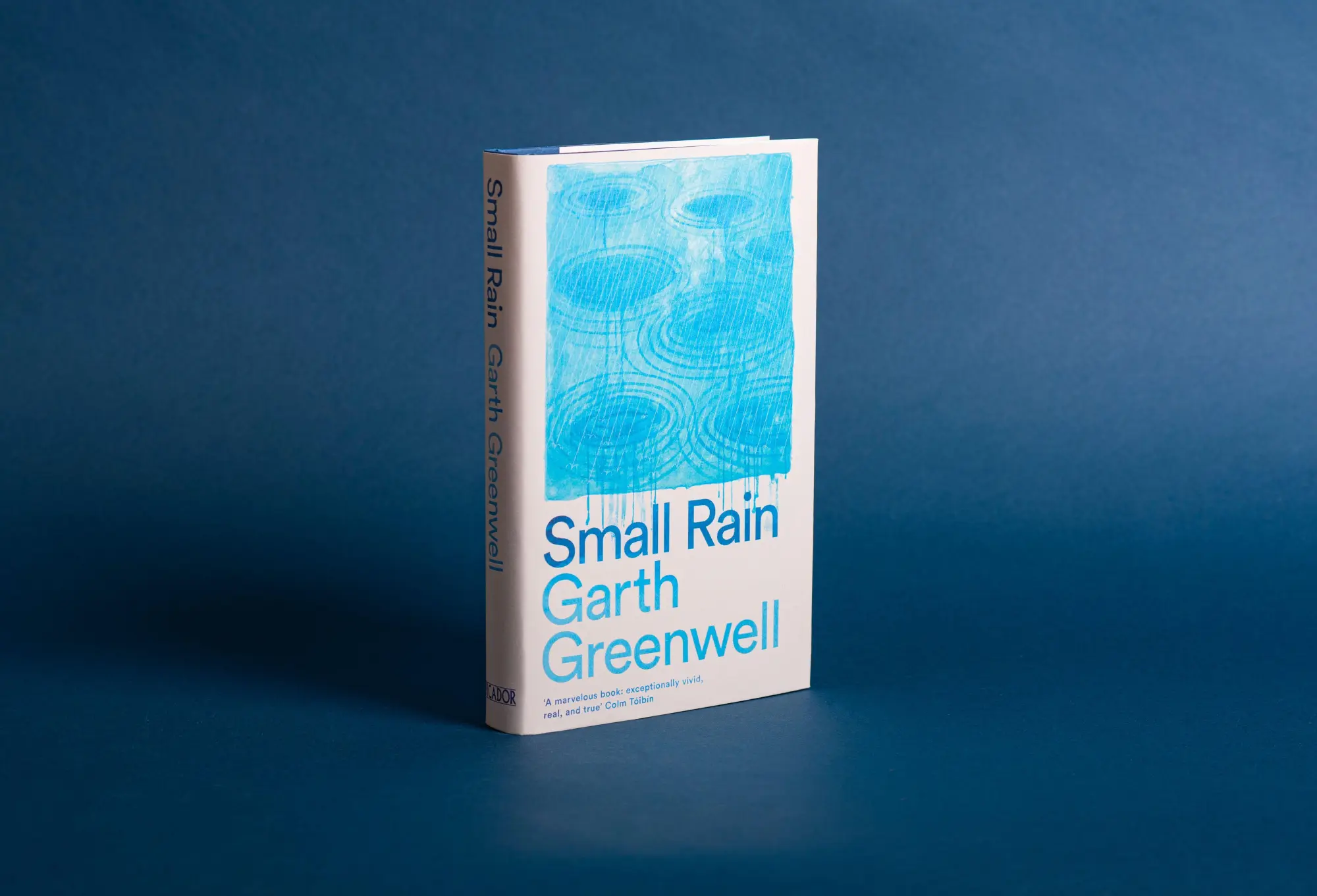 Bild: 9781509874699 | Small Rain | Garth Greenwell | Buch | Englisch | 2024 | Pan Macmillan