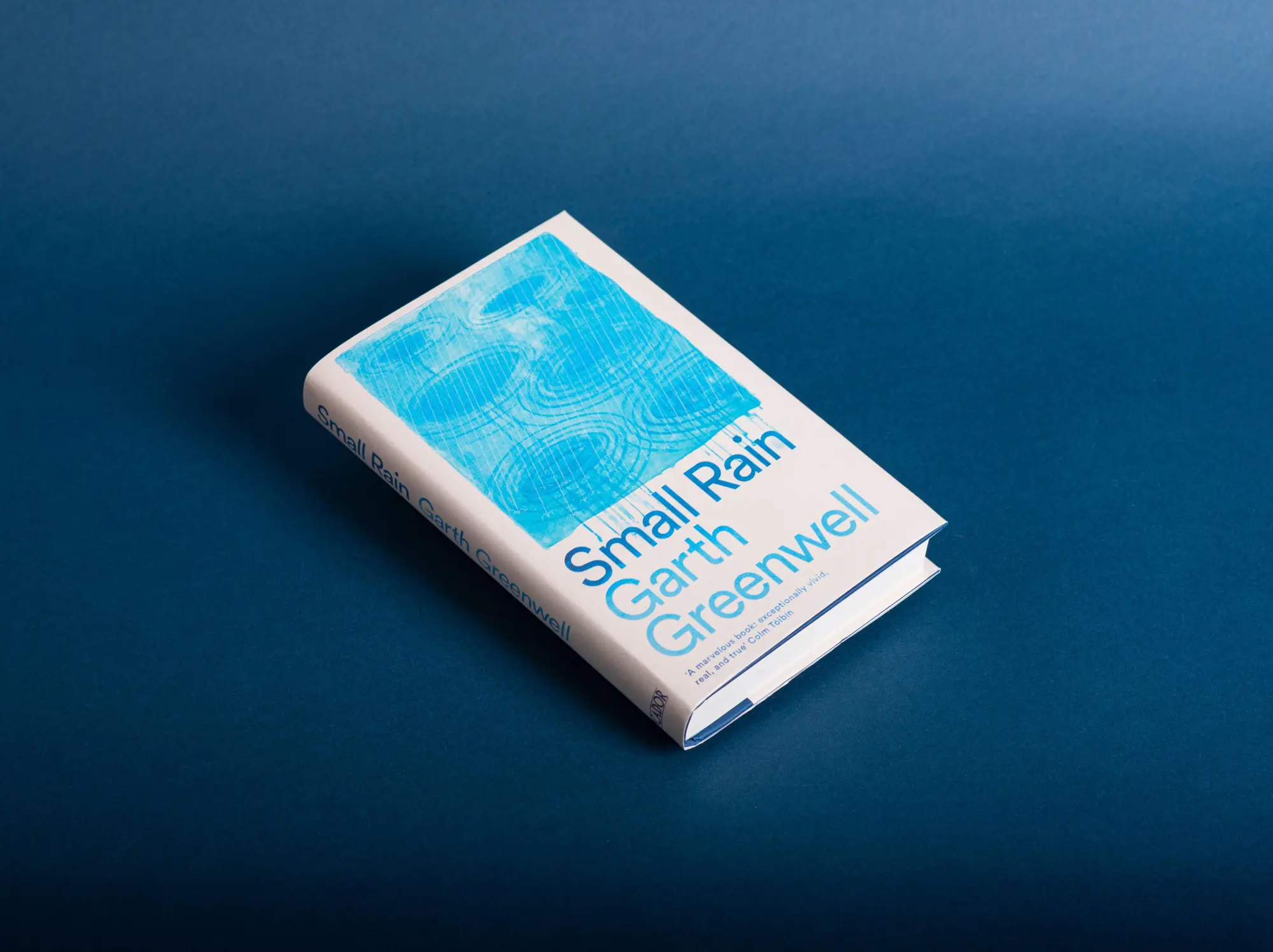 Bild: 9781509874699 | Small Rain | Garth Greenwell | Buch | Englisch | 2024 | Pan Macmillan