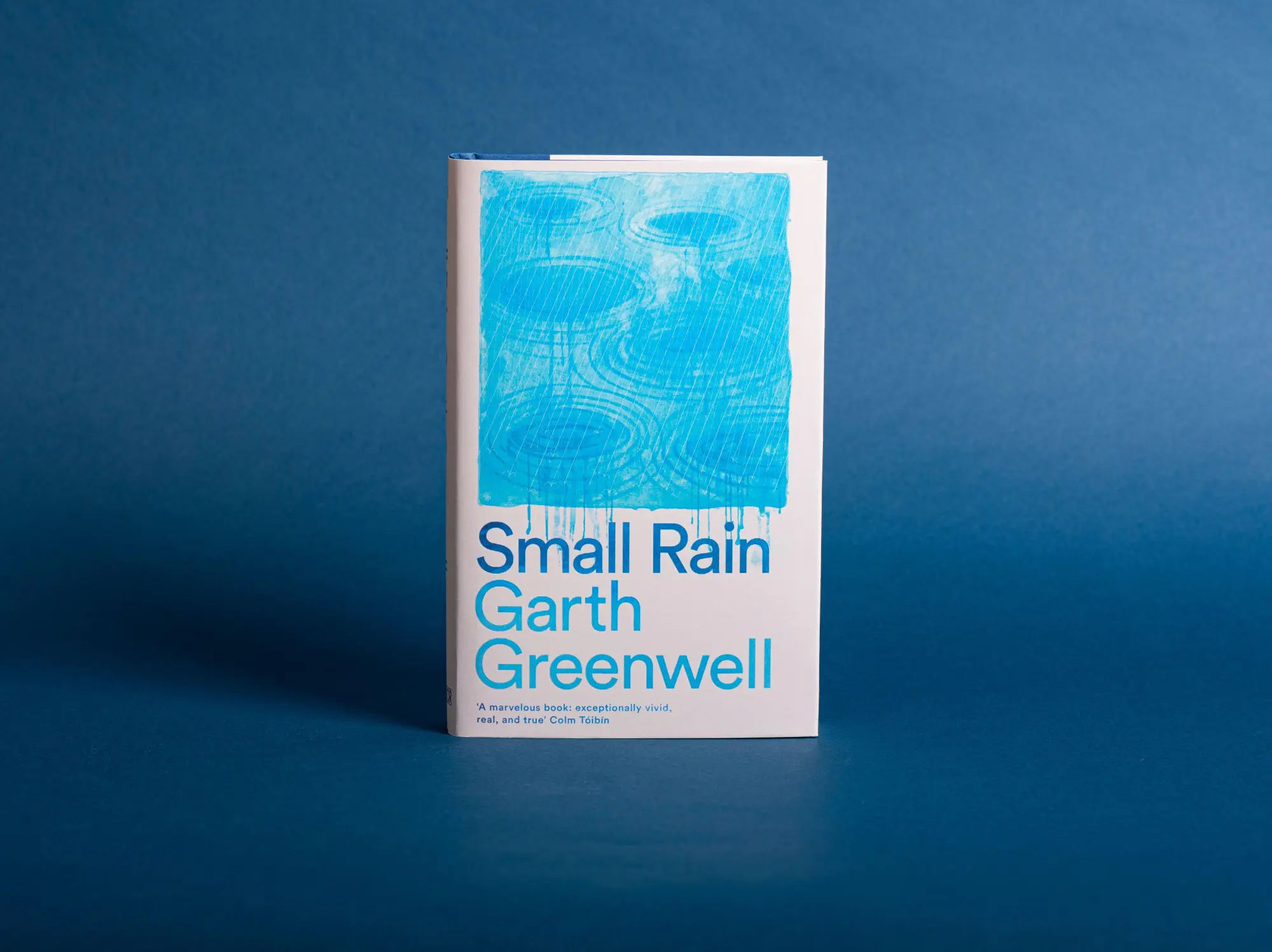 Bild: 9781509874699 | Small Rain | Garth Greenwell | Buch | Englisch | 2024 | Pan Macmillan