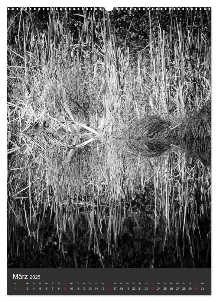 Bild: 9783457034699 | Natur in Schwarz und Weiß (Wandkalender 2025 DIN A2 hoch), CALVENDO...