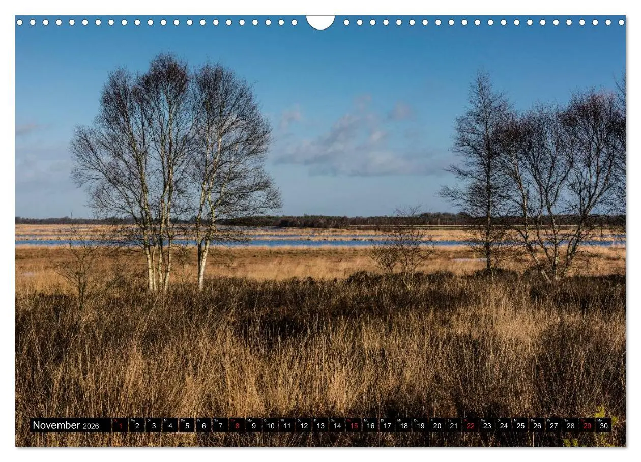Bild: 9783516054699 | Worpswede - Künstlerdorf unter weitem Himmel (Wandkalender 2026 DIN...