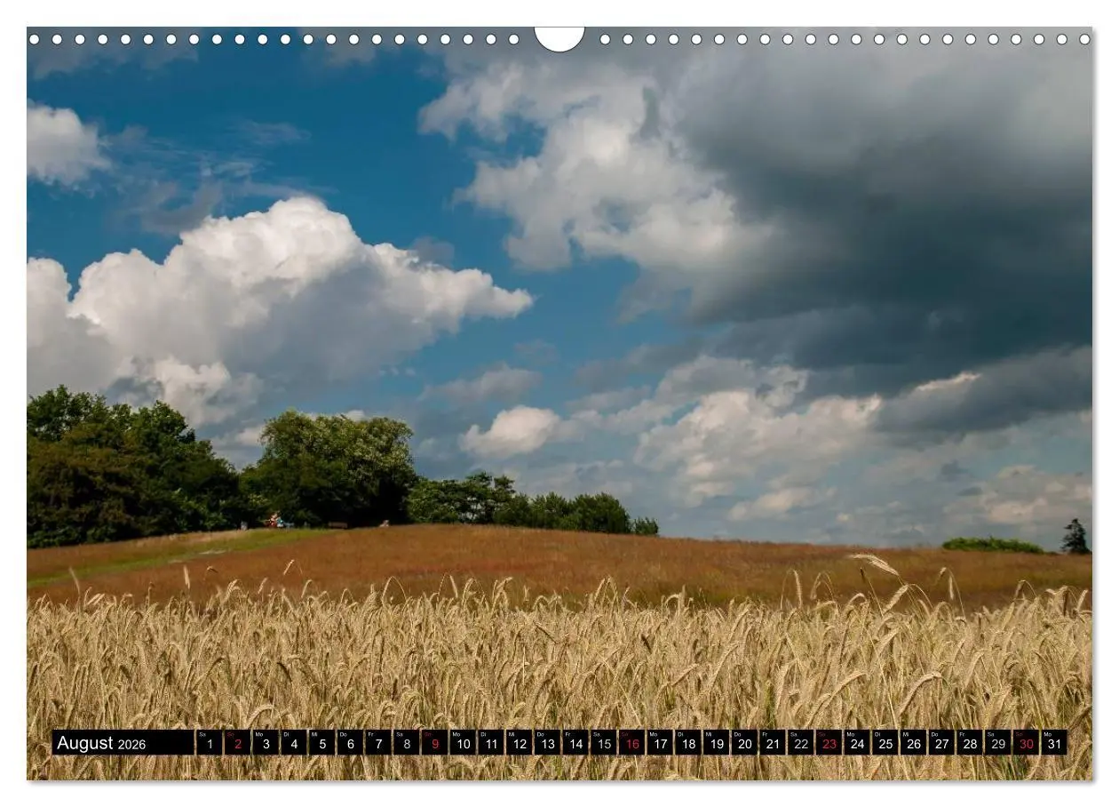 Bild: 9783516054699 | Worpswede - Künstlerdorf unter weitem Himmel (Wandkalender 2026 DIN...