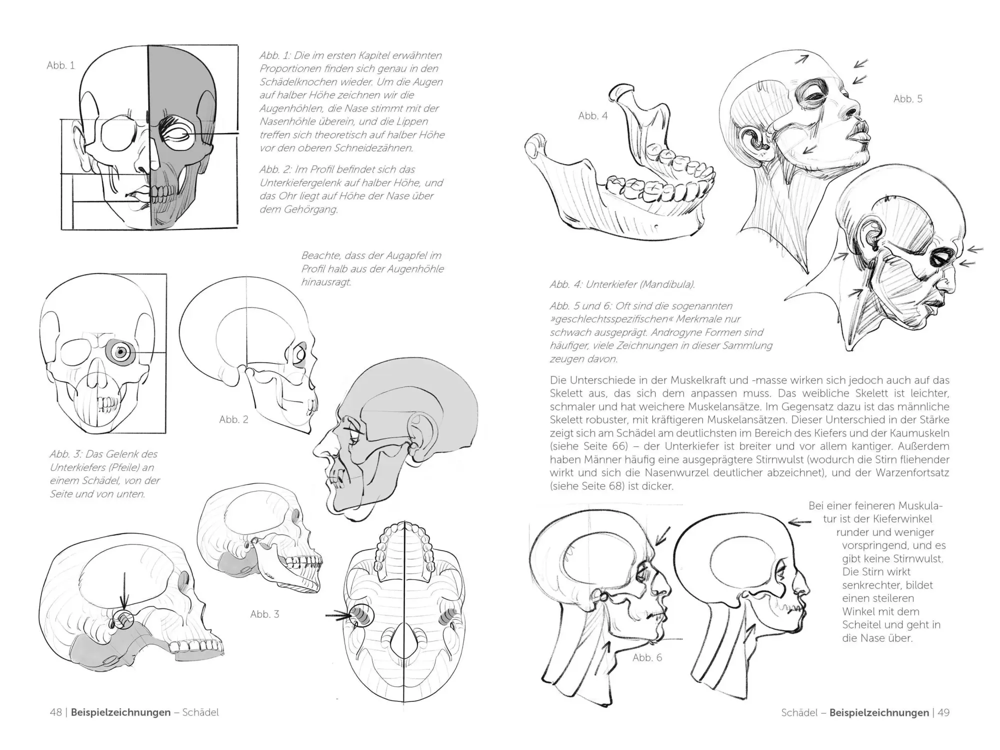 Bild: 9783830714699 | Morpho Detail - Kopf, Hals und Schultern | Michel Lauricella | Buch