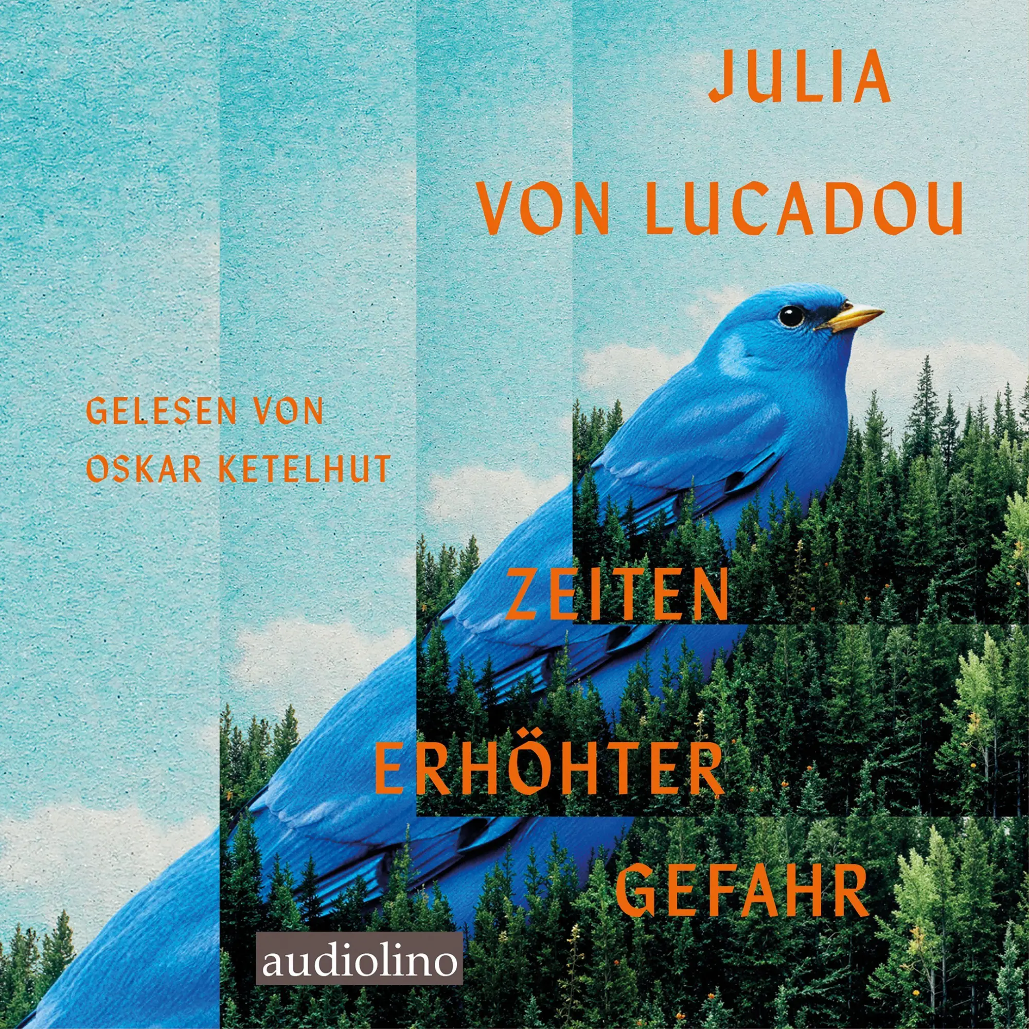 Cover: 9783867374699 | Zeiten erhöhter Gefahr | Julia von Lucadou | MP3 | 368 Min. | Deutsch