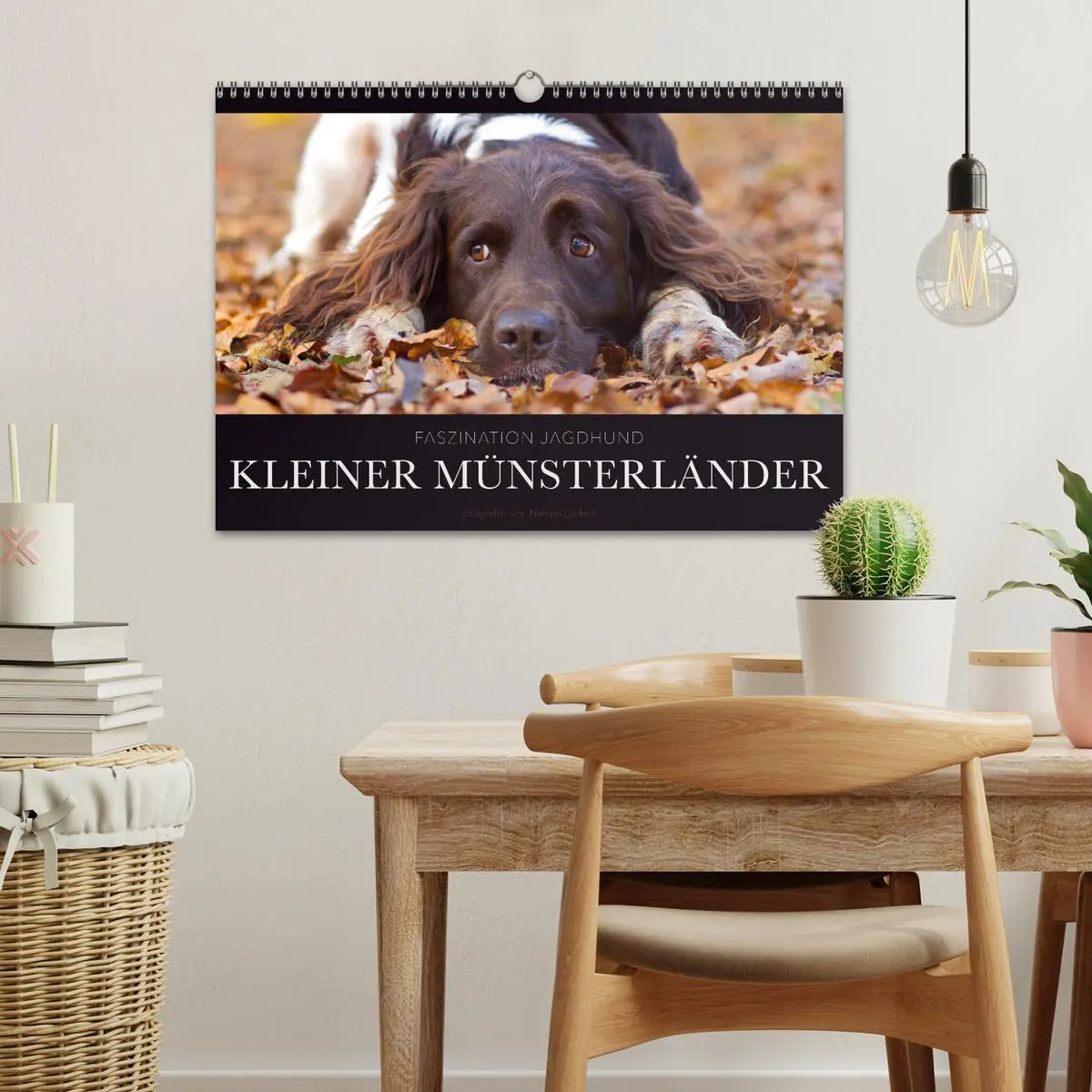 Bild: 9783457884799 | Faszination Jagdhund - Kleiner Münsterländer (Wandkalender 2026 DIN...