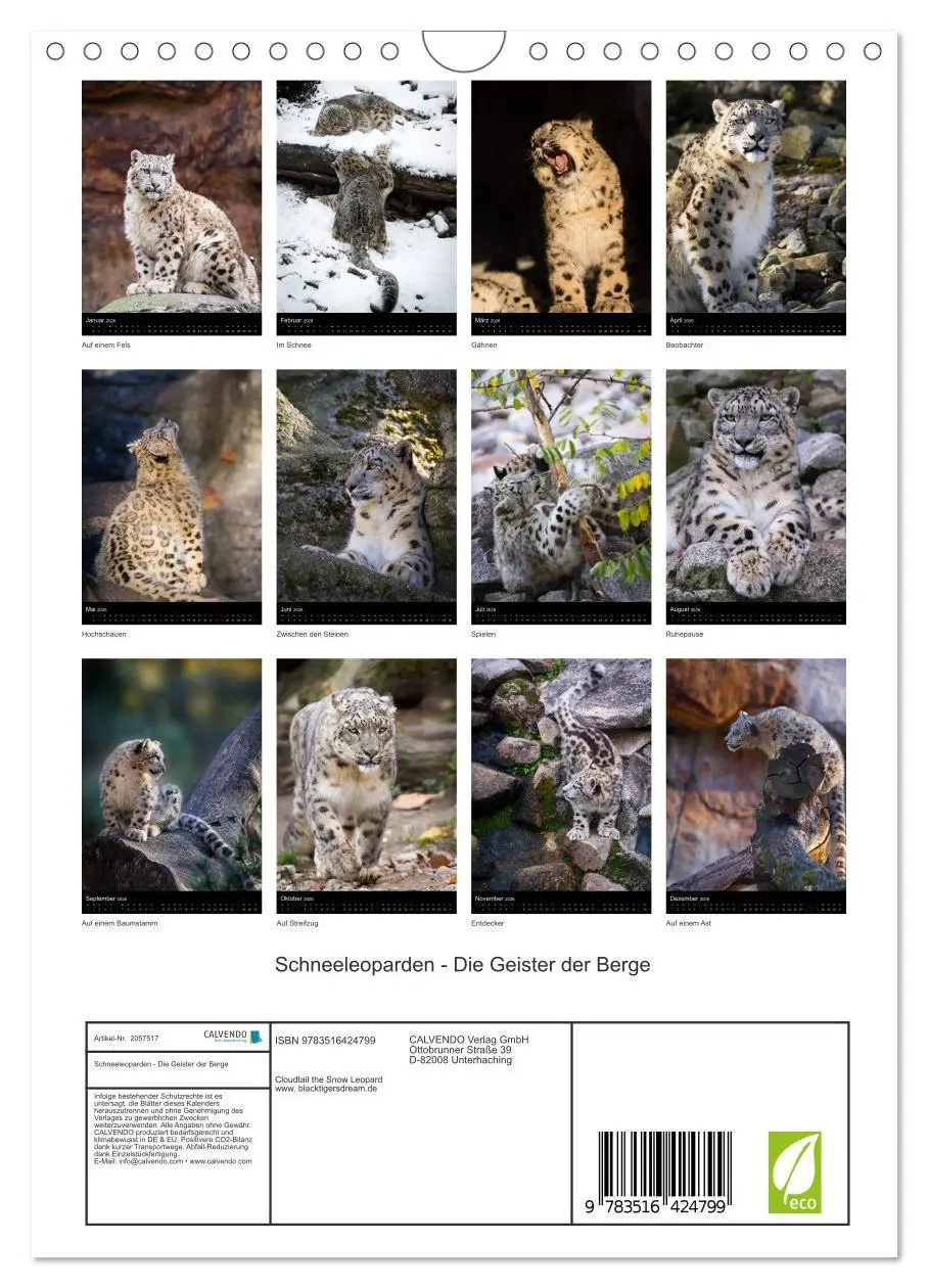 Bild: 9783516424799 | Schneeleoparden - Die Geister der Berge (Wandkalender 2026 DIN A4...