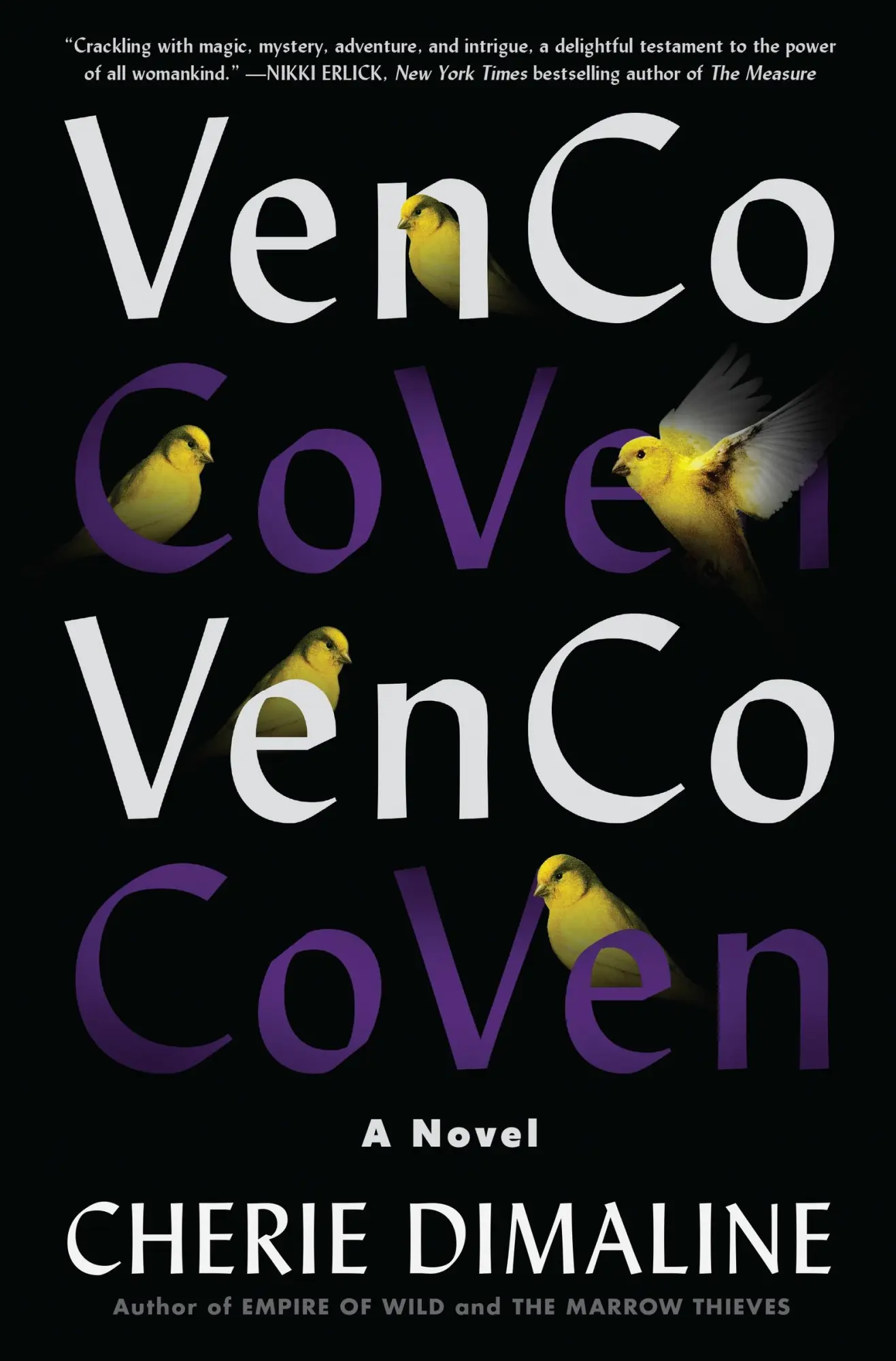 Cover: 9780063054899 | Venco | Cherie Dimaline | Buch | Gebunden | Englisch | 2023