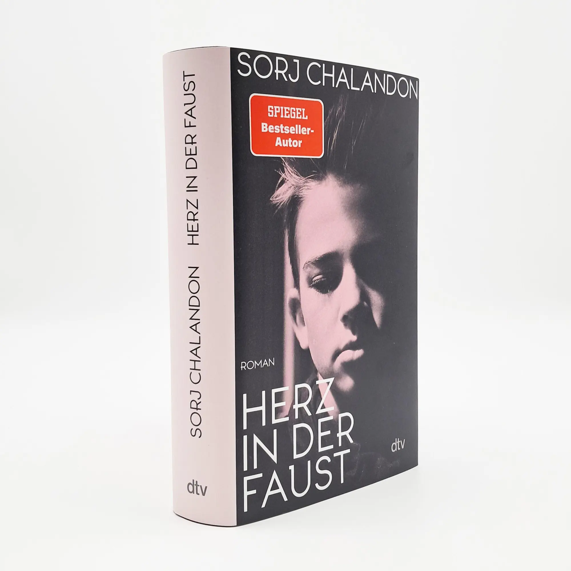 Bild: 9783423284899 | Herz in der Faust | Sorj Chalandon | Buch | 400 S. | Deutsch | 2025