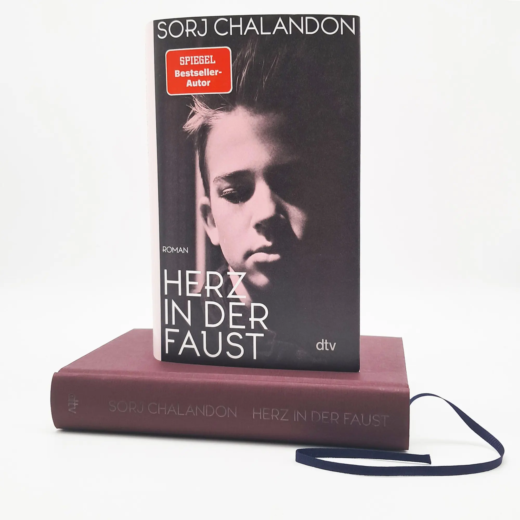 Bild: 9783423284899 | Herz in der Faust | Sorj Chalandon | Buch | 400 S. | Deutsch | 2025