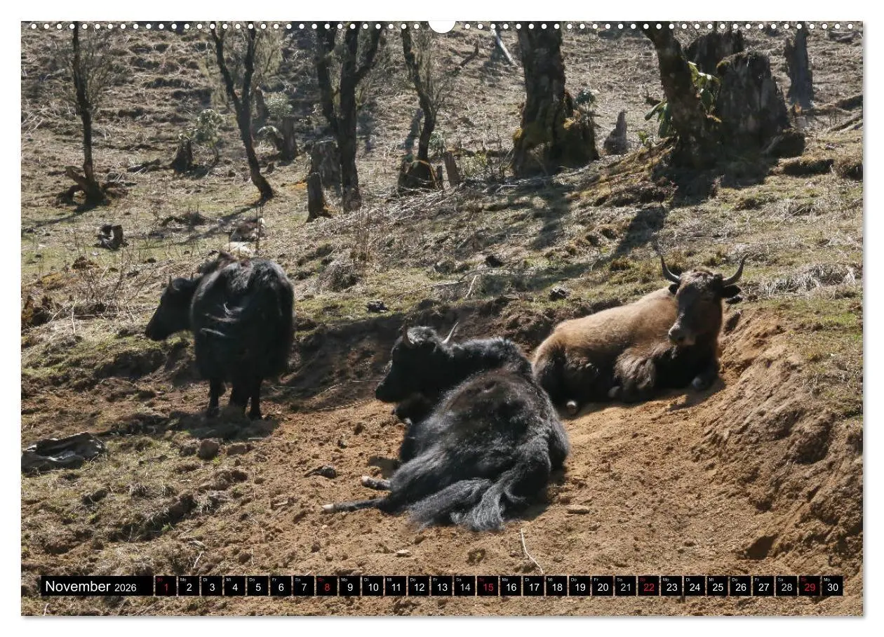 Bild: 9783457944899 | Druk Yul - Szenen aus Bhutan (hochwertiger Premium Wandkalender...