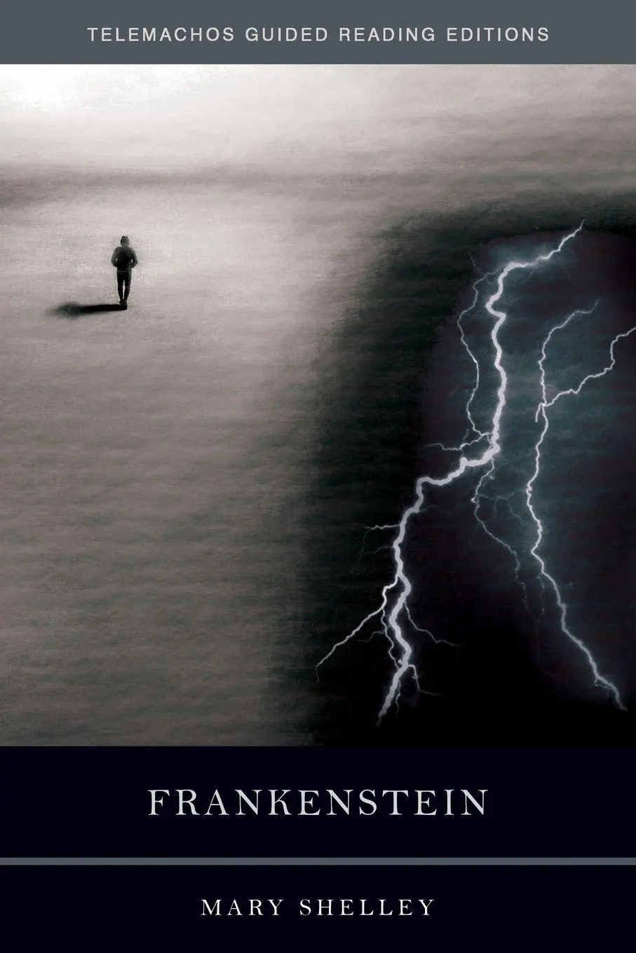 Cover: 9780985384999 | Frankenstein | Mary Shelley | Taschenbuch | Englisch | 2025