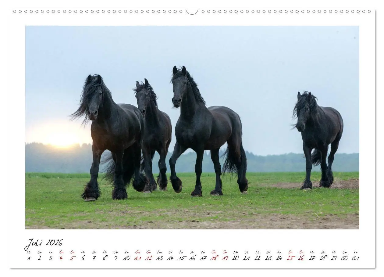 Bild: 9783457794999 | Friesen - stolze Giganten (Wandkalender 2026 DIN A2 quer), CALVENDO...
