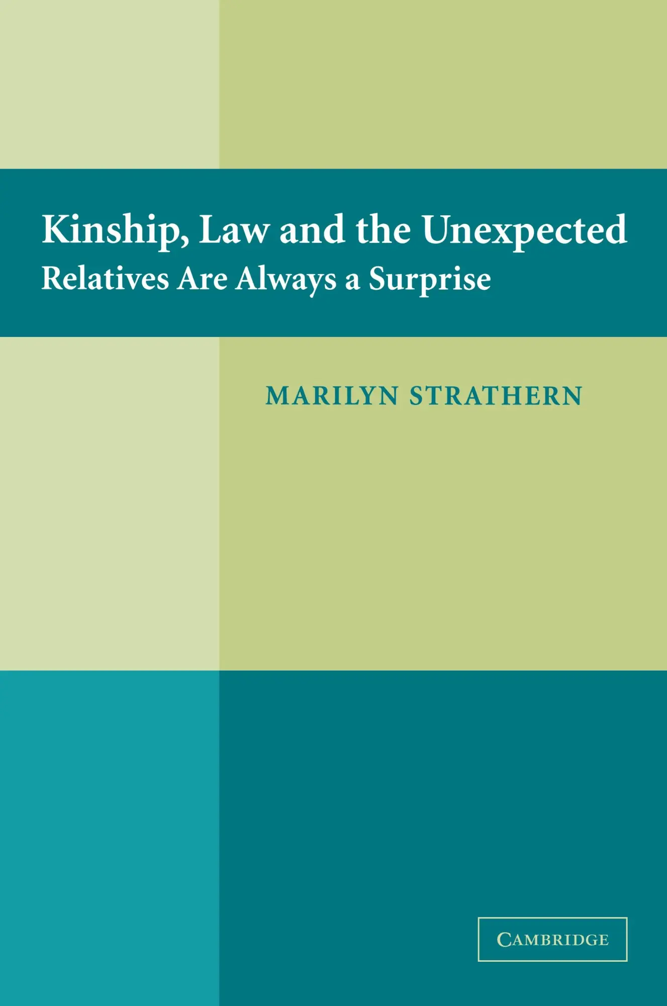 Cover: 9780521615099 | Kinship, Law and the Unexpected | Relatives Are Always a Surprise