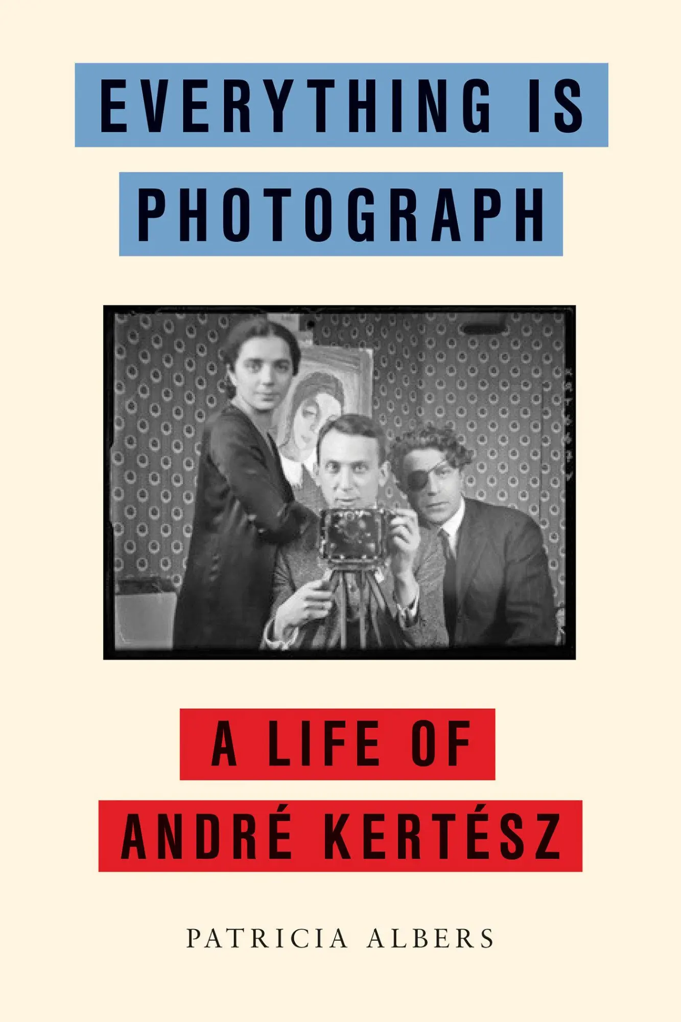 Cover: 9781590515099 | Everything Is Photograph | A Life of Andre Kertesz | Patricia Albers